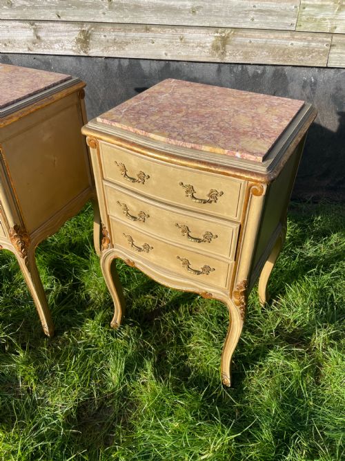 PAIR OF EARLY 20TH CENTURY PAINTED AND GILDED BEDSIDE CABINETS - ADDITIONAL PHOTO 2