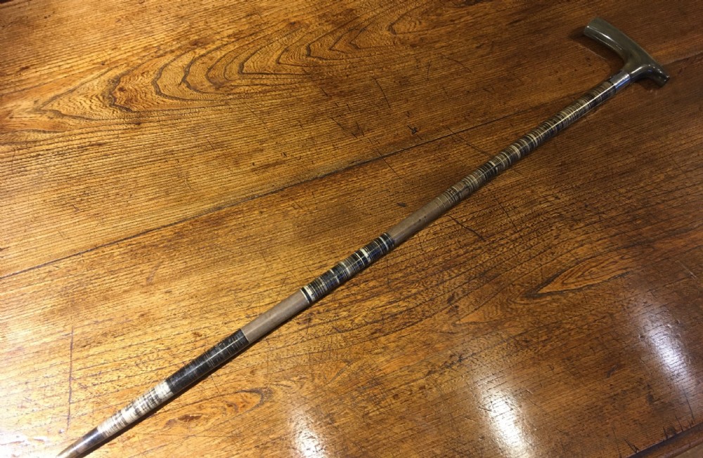 EDWARDIAN HORN WALKING STICK 