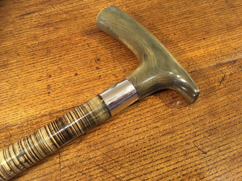 EDWARDIAN HORN WALKING STICK  View II