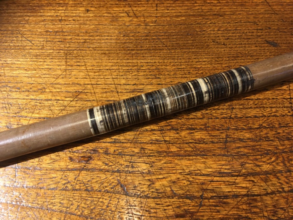 EDWARDIAN HORN WALKING STICK  View IV