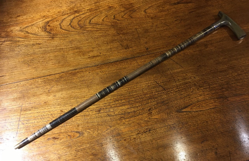 EDWARDIAN HORN WALKING STICK  View VI