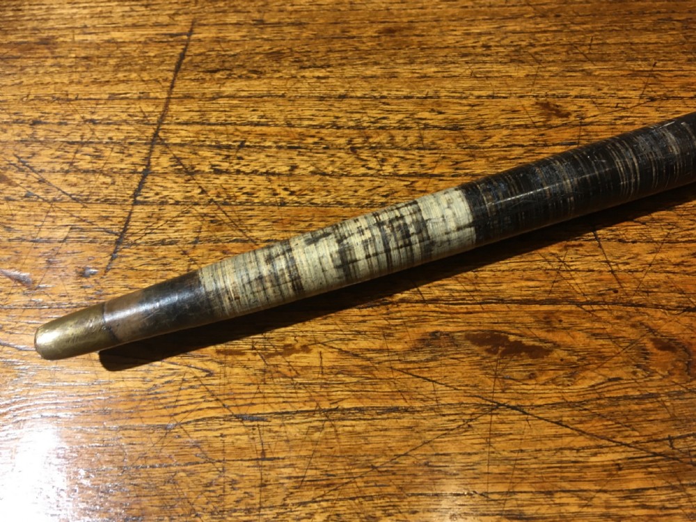 EDWARDIAN HORN WALKING STICK  View IX