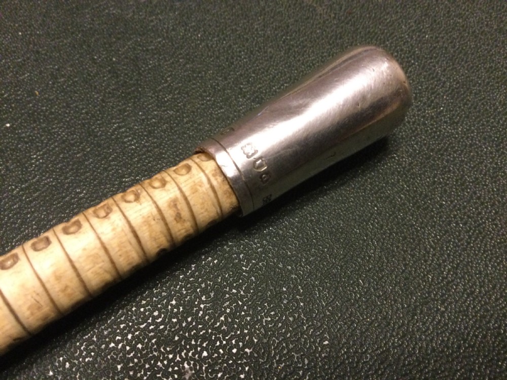 SHARK VERTEBRAE “SWAGGER” STICK View II