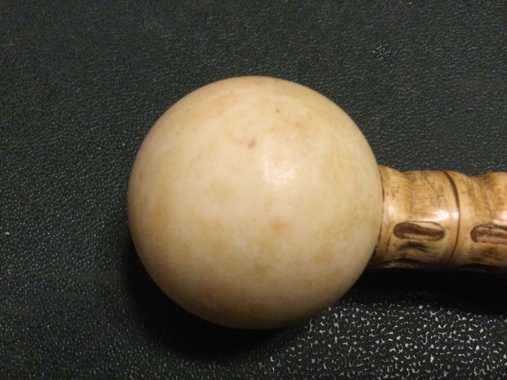 SHARK VERTEBRAE “SWAGGER” STICK View IV