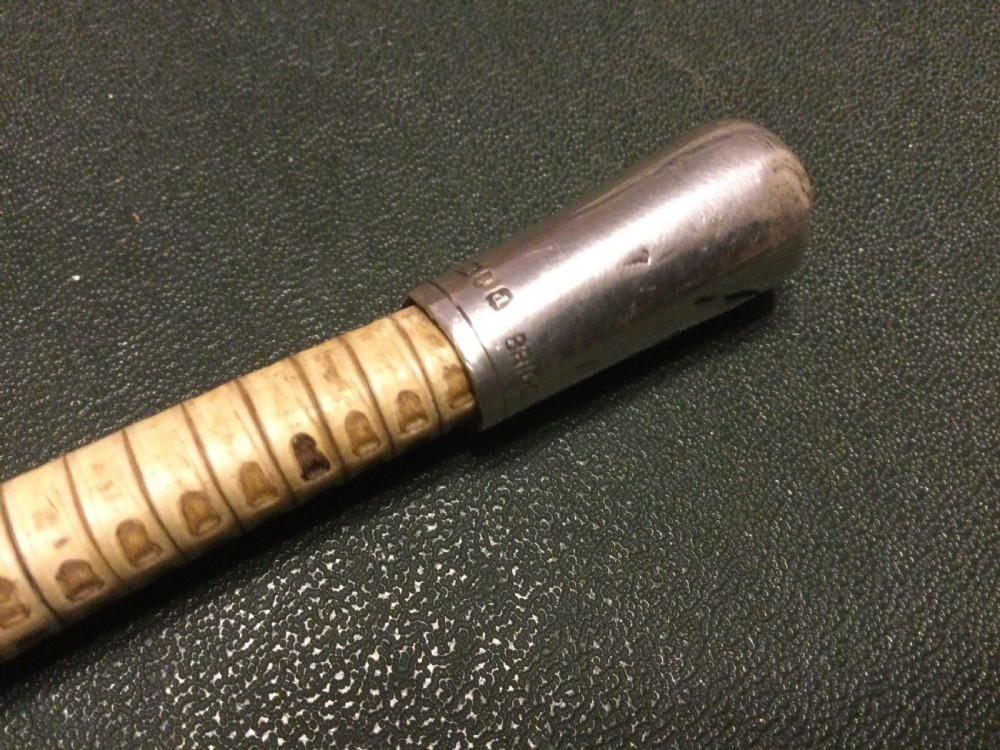 SHARK VERTEBRAE “SWAGGER” STICK View VI