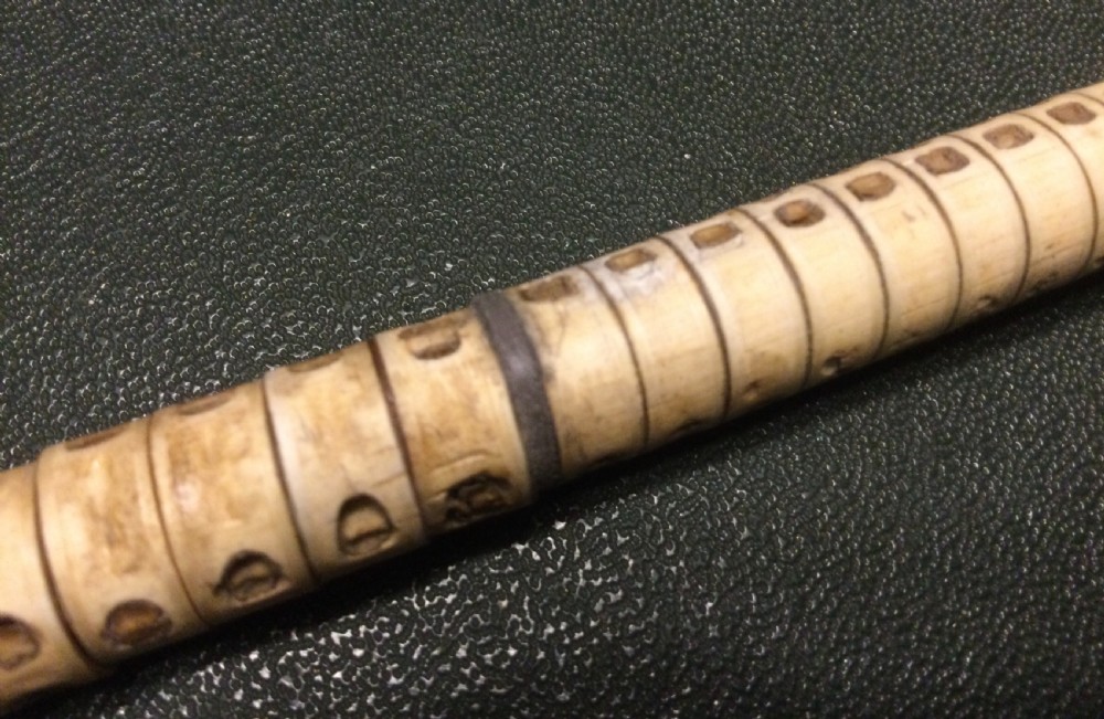 SHARK VERTEBRAE “SWAGGER” STICK View VII