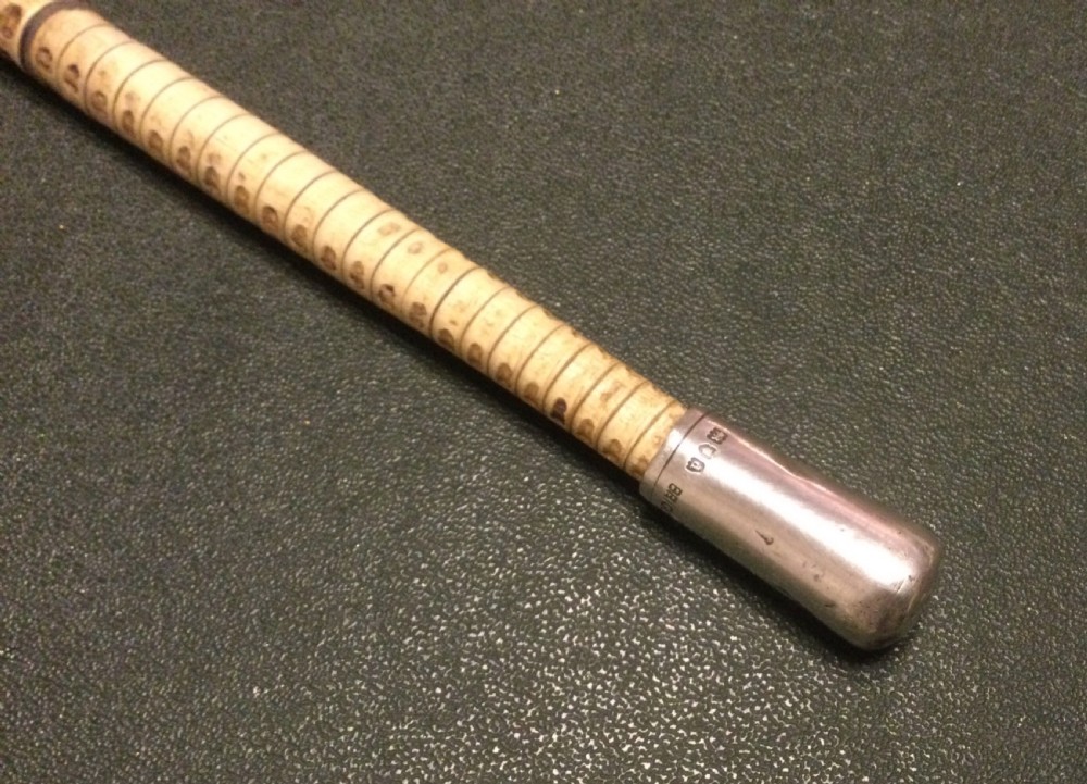 SHARK VERTEBRAE “SWAGGER” STICK View VIII