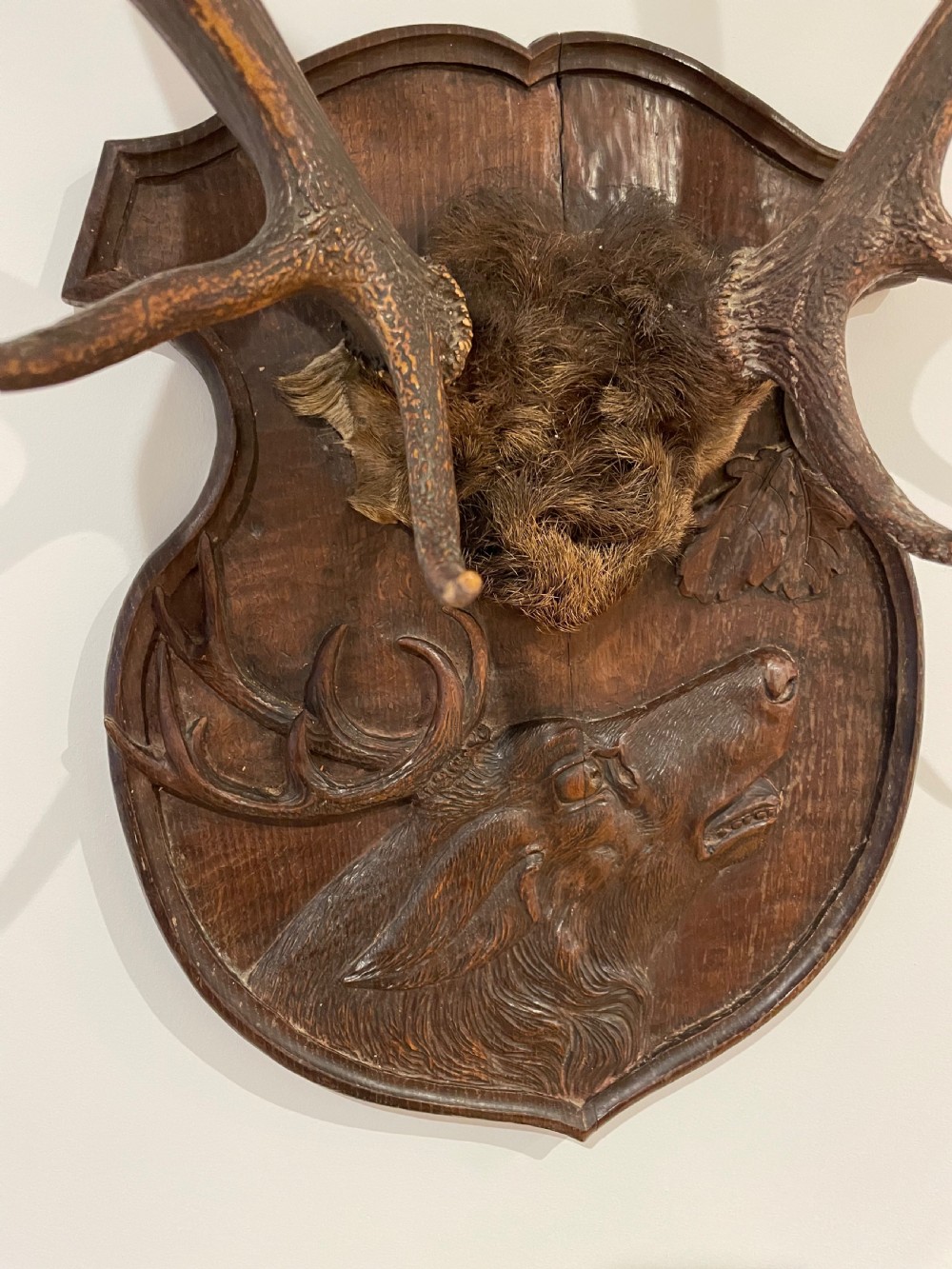 A pair of multi-tined stag antlers mounted on a dark carved wooden shield plaque featuring a relief carving of a stag head. View II