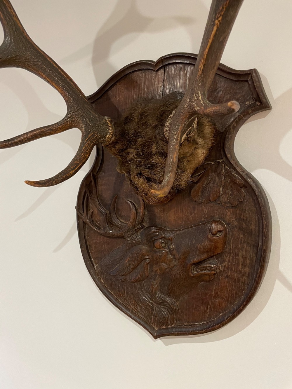 A pair of multi-tined stag antlers mounted on a dark carved wooden shield plaque featuring a relief carving of a stag head. View IV