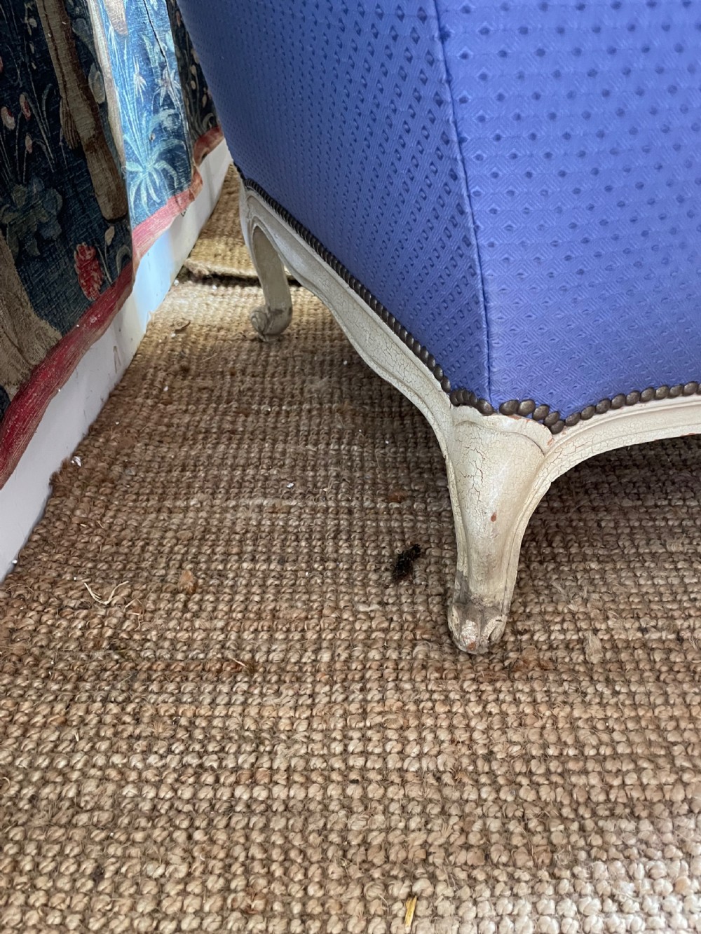 Pair of French armchairs  View XII