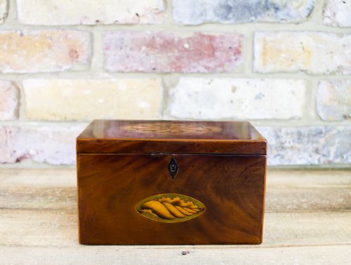 Sheraton Mahogany Twin Tea Caddy C.1790