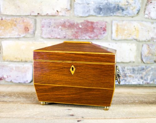 Partridge Wood Georgian Tea Caddy C.1820