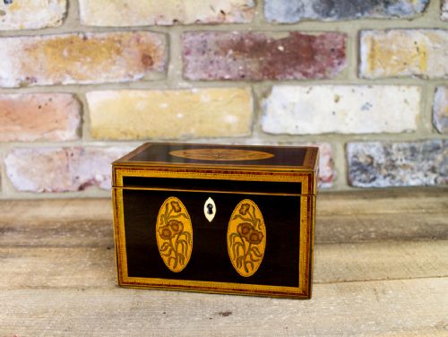Rare Collectors Georgian Tea Caddy