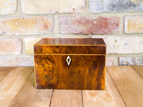 Burr Yew Georgian Tea Caddy C.1820
