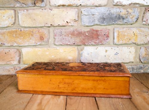 LEATHER BOX PIG'S SKIN C1930 - ADDITIONAL PHOTO 3
