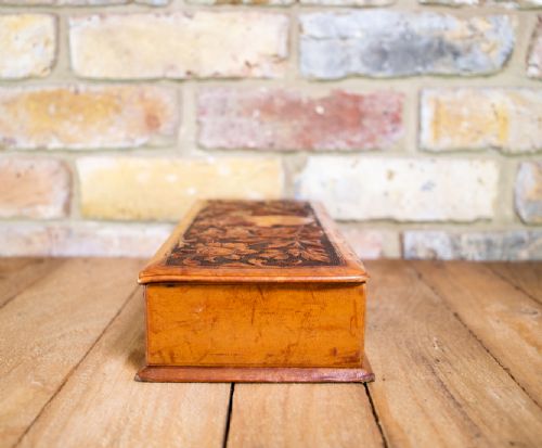 LEATHER BOX PIG'S SKIN C1930 - ADDITIONAL PHOTO 6