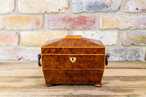 Burr Walnut Regency Tea Caddy C.1820