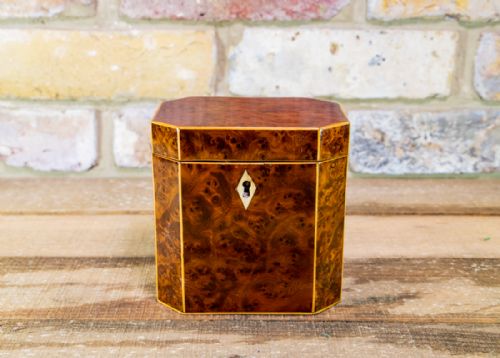 Burr Yew Single Lid Tea Caddy C.1800