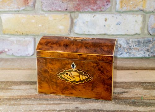 Burr Yew Tea Caddy C.1800