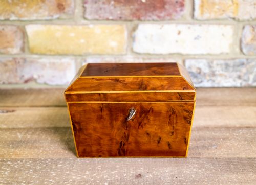 Burr Yew Georgian Tea Caddy C.1820