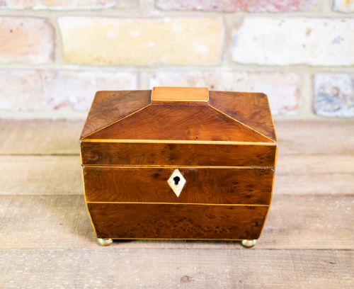 Burr Yew Tea Caddy C.1820