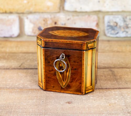 Rare Collectable Georgian Single Tea Caddy