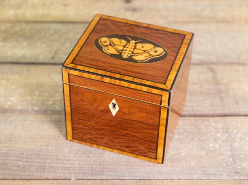 Stunning Partridge Wood Moth Inlaid Georgian Tea Caddy