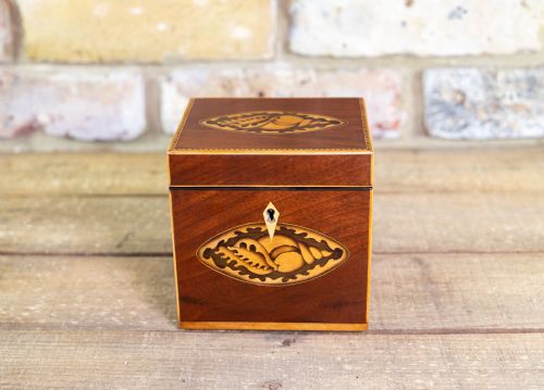 Single Mahogany Georgian Tea Caddy 1800