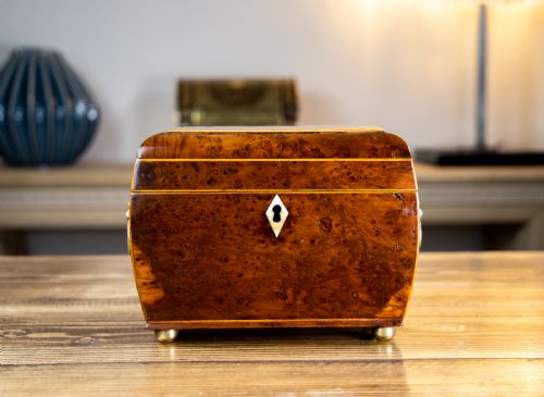 Twin Burr Yew Georgian Caddy 1800