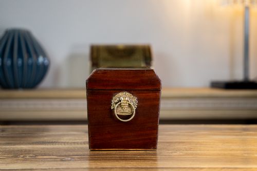 TWIN MAHOGANY GEORGIAN TEA CADDY - ADDITIONAL PHOTO 1