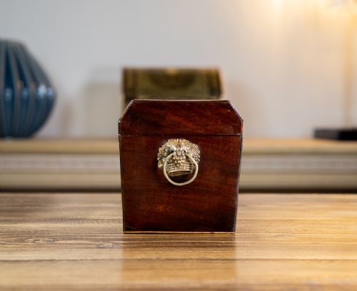 TWIN MAHOGANY GEORGIAN TEA CADDY - ADDITIONAL PHOTO 2