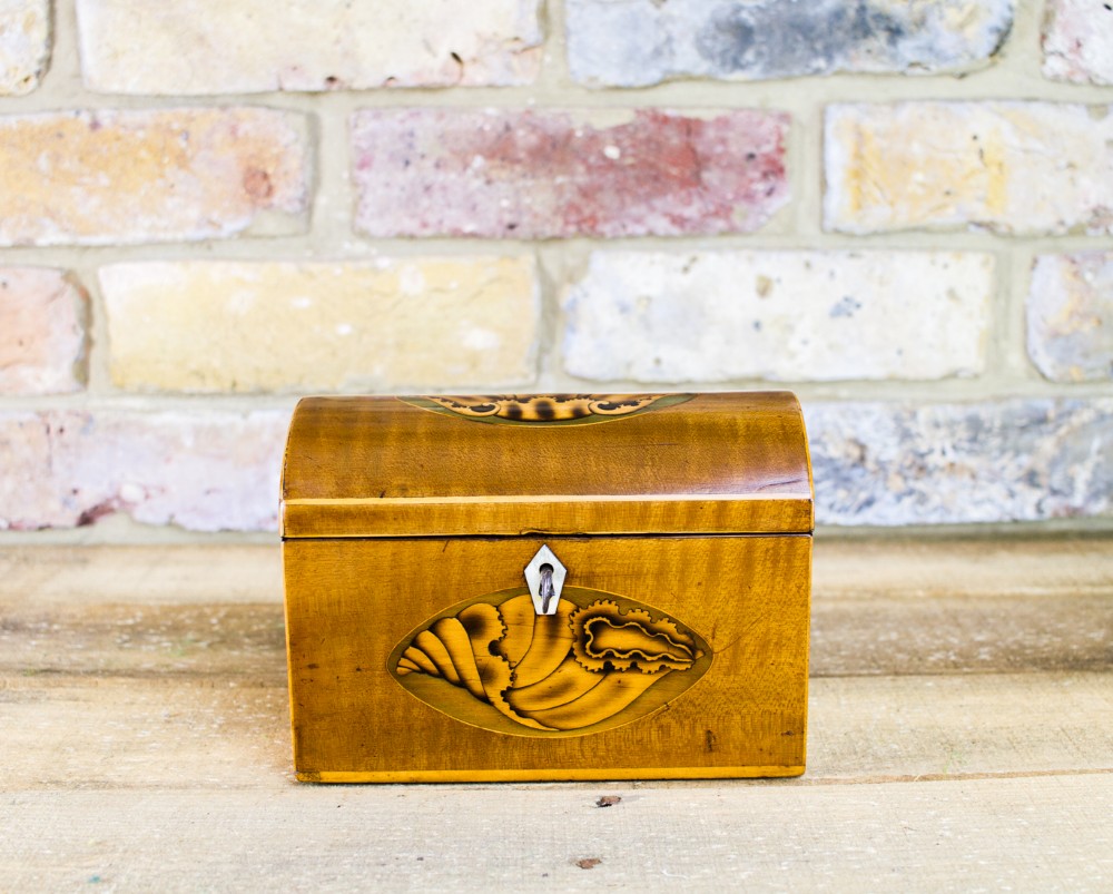 Satinwood Tea Caddy c.1790