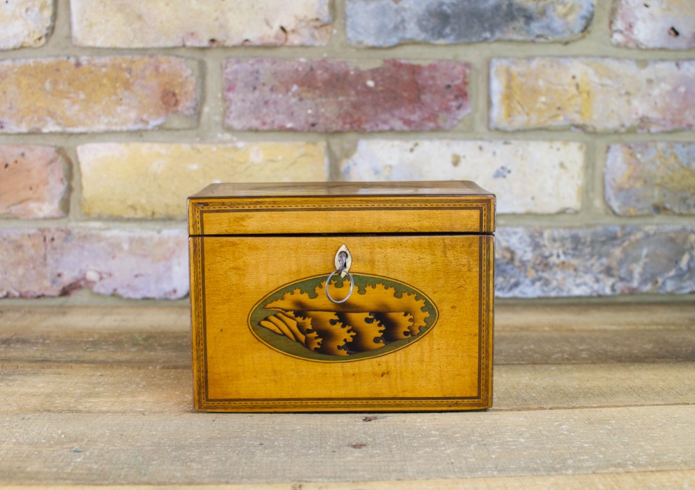 Shell Inlay Georgian Tea Caddy c.1790