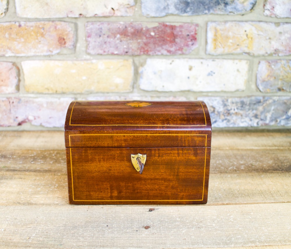 Mahogany Edwardian Tea Caddy c.1900
