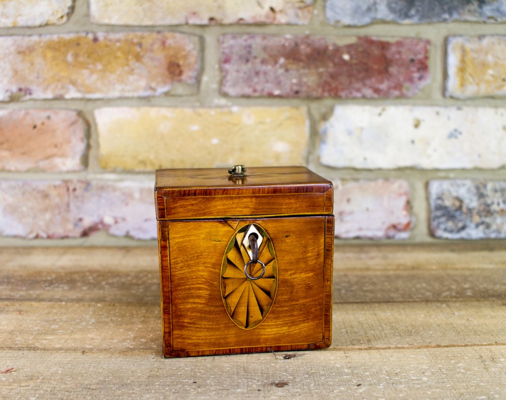 Satinwood Single Lid Georgian Tea Caddy