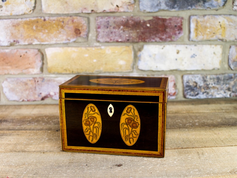 Rare Collectors Georgian Tea Caddy