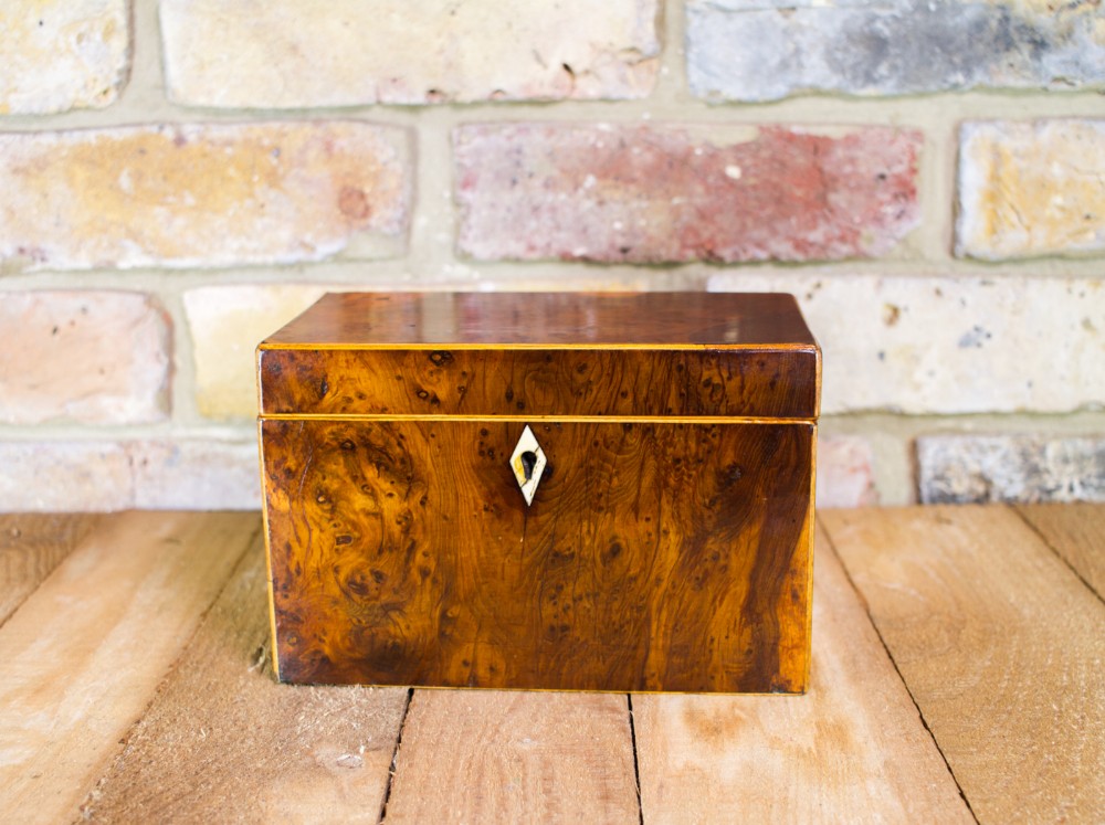 Burr Yew Georgian Tea Caddy c.1820
