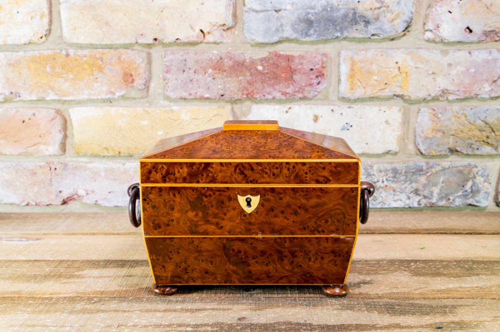 Burr Walnut Regency Tea Caddy c.1820