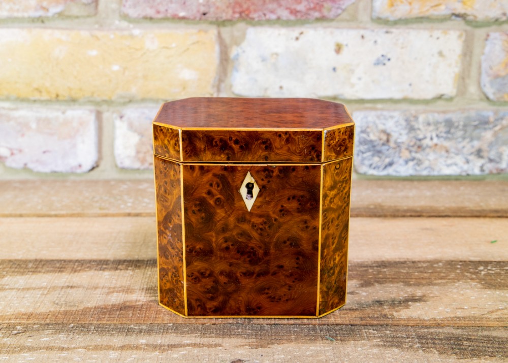 Burr Yew Single Lid Tea Caddy c.1800
