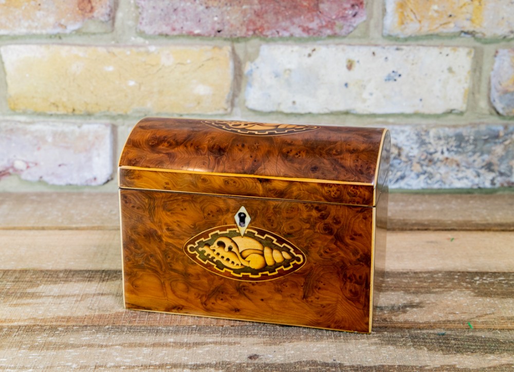 Burr Yew Tea Caddy c.1800