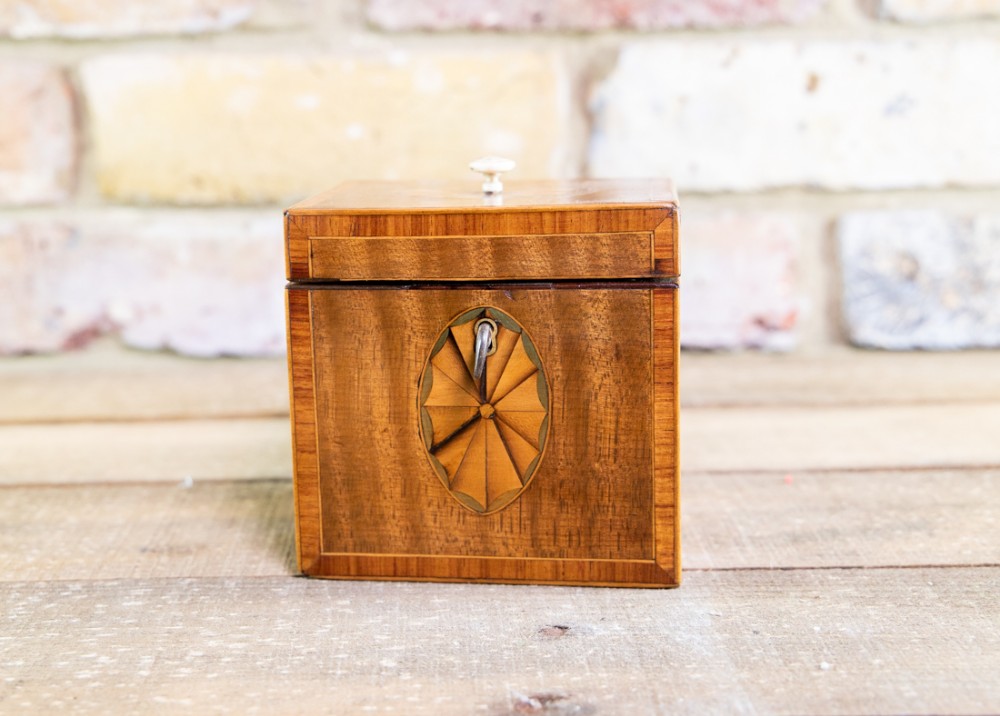 Rare Harewood Single Tea Caddy c.1790