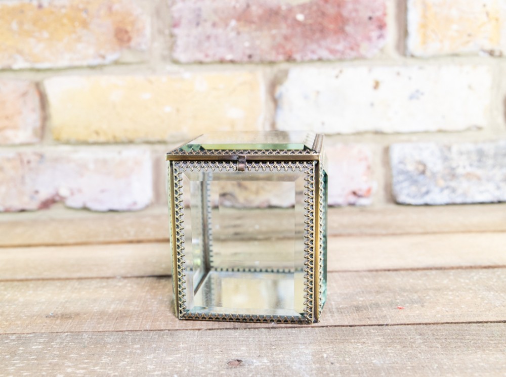 Glass Display Box c.1920