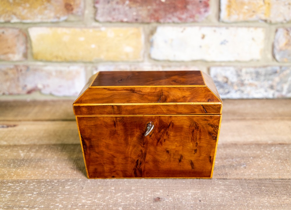 Burr Yew Georgian Tea Caddy c.1820