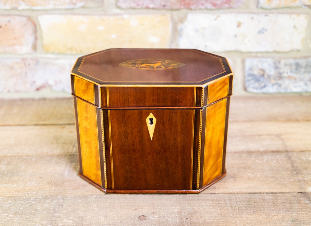 Rare Stag Inlay Georgian Caddy c.1790