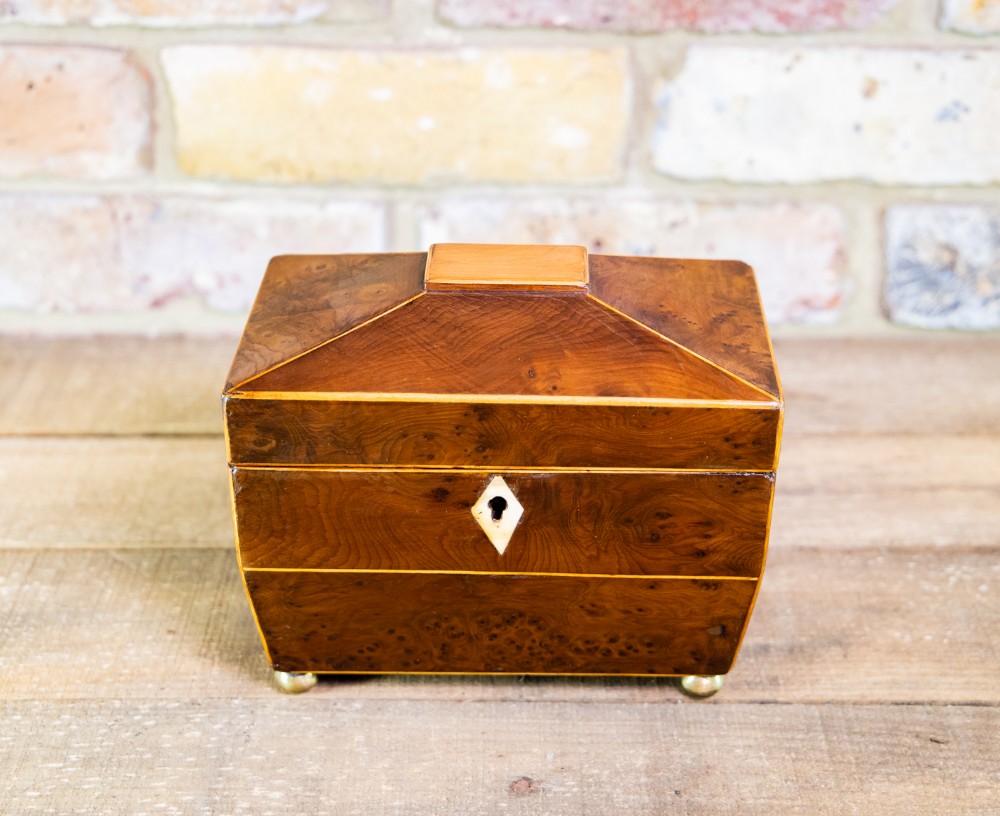 Burr Yew Tea Caddy c.1820