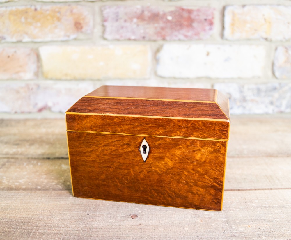 Partridge Wood Tea Caddy c.1810