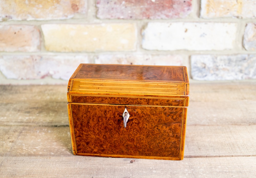 Burr Yew Twin Caddy c.1820