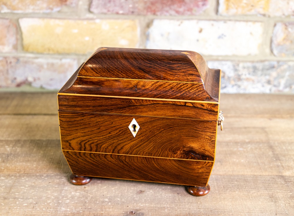 Regency Rosewood Tea Caddy 1820