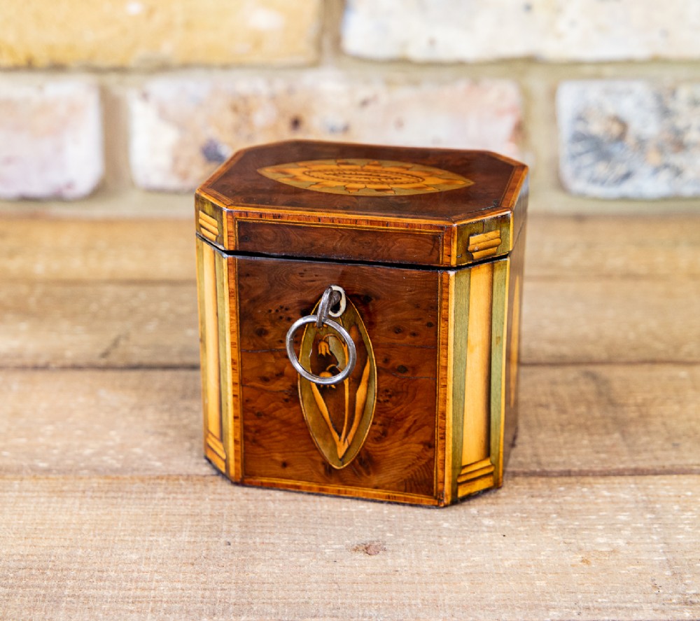 Rare Collectable Georgian Single Tea Caddy