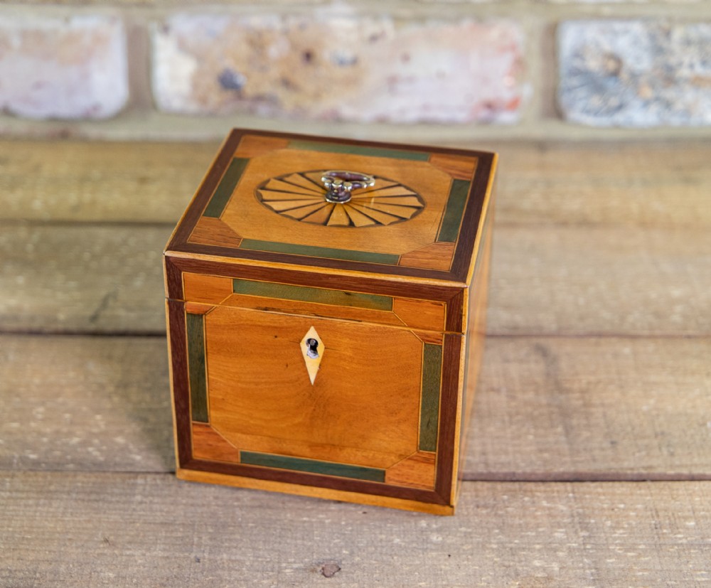 Stunning Satinwood Single Tea Caddy 1800